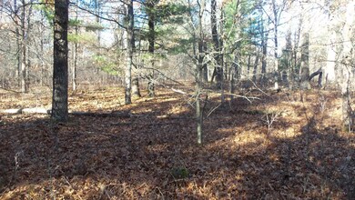 Lot 4 Mclain Rd, Grantsburg Township, WI 54840 - photo 6