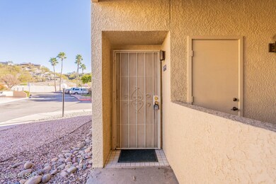 Security Door