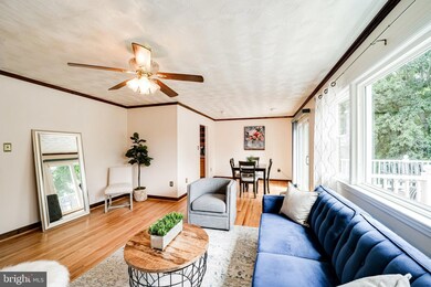 6623 Hulvey Terrace, Alexandria, VA 22306 - photo 5