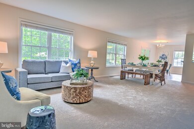 1001 Ridgeview Ave, Centreville, MD 21617 - photo 3