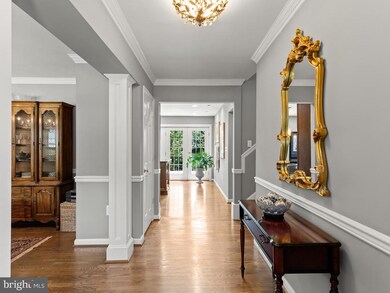 913 Waynewood Blvd, Alexandria, VA 22308 - photo 7