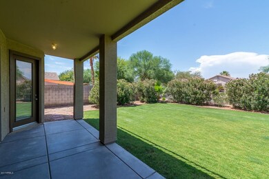 BACKYARD PATIO