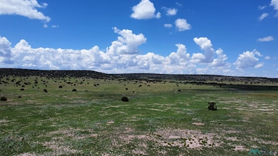 Lot 145 Quail Rd, Quemado, NM 87829 - photo 2