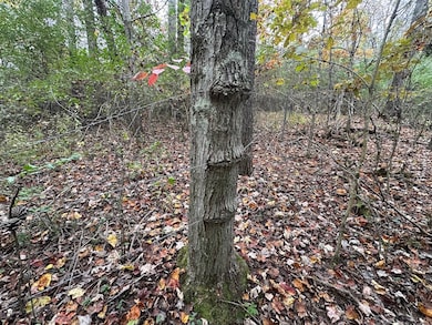 0 Jericho Rd unit 25758594, Walker, WV 26180 - photo 7