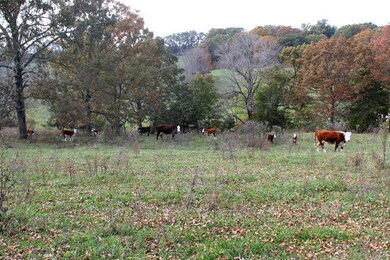 pasture