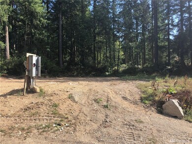 154 E Fox Run Ln, Grapeview, WA 98546 - photo 4