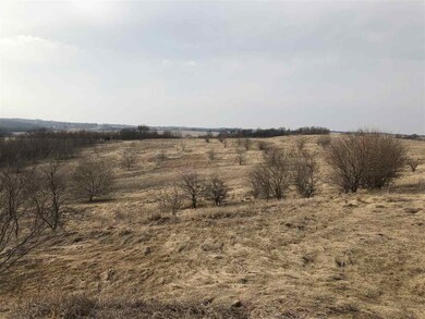 35.07 Ac Elmer Rd, Brooklyn, WI 53521 - photo 6