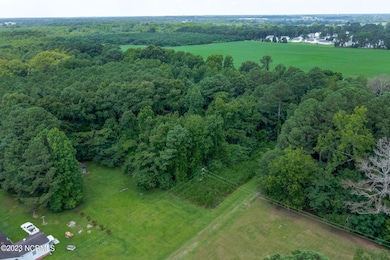 0 Hickorynut Dr, La Grange, NC 28551 - photo 5