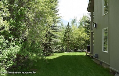 Side Yard