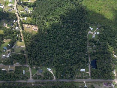 TBD H-4 Pea Ridge Rd, Albany, LA 70711 - photo 5