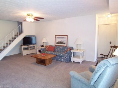 Large living room with neutral carpet/walls & ceil