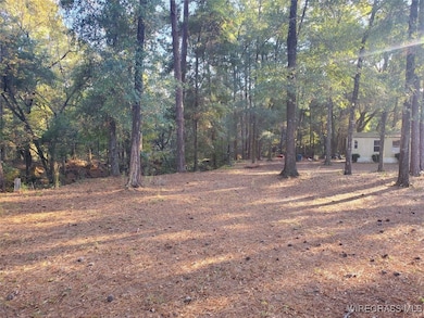 TBD County Road 36, Hartford, AL 36344 - photo 2