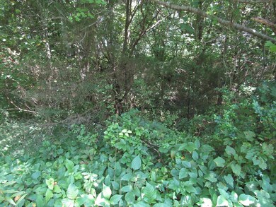 2.20 ac Buck Mountain Rd, Cookeville, TN 38506 - photo 4
