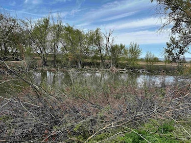 View of local wilderness with a nearby body of water