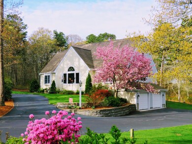 Front in bloom