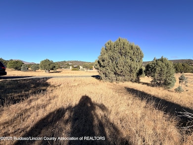 270A Saddleback Rd, Alto, NM 88312 - photo 4