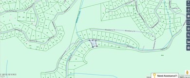 Lot 35/36 Alpine Dr, Sevierville, TN 37876 - photo 4