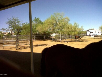 Lots of Room for Horse Trailer