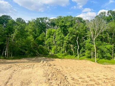 Wooded Rear View
