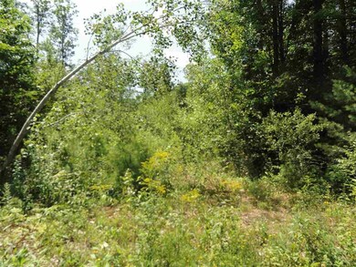 5 Lakeview Cir, Croydon, NH 03773 - photo 5