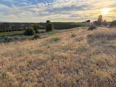 TBD McCreadie Rd, Prosser, WA 99350 - photo 7