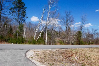 103 Grandview Rd, Conway, NH 03860 - photo 6