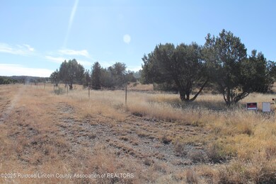 8406 US Hwy 380, Capitan, NM 88316 - photo 5