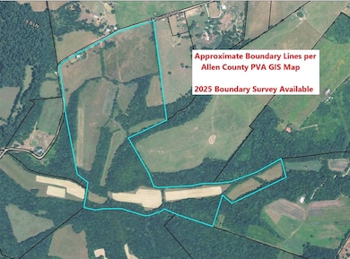 151 Acres Carl Hurt Rd, Scottsville, KY 42164 - photo 3