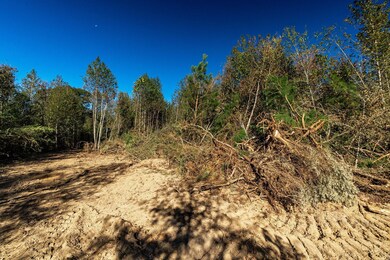 Parcel 1 Coppers Ford Rd, Tylertown, MS 39667 - photo 4