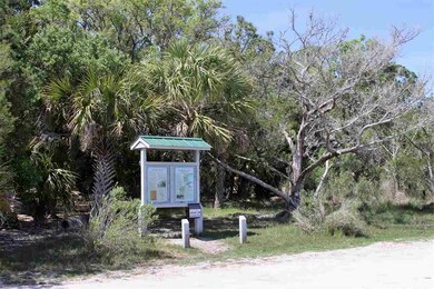 175 Wakulla Beach Rd, Crawfordville, FL 32327 - photo 4