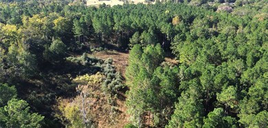 TBD Cr 2265, Grapeland, TX 75844 - photo 6