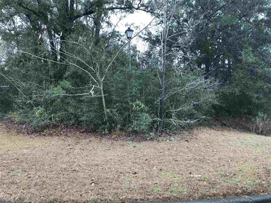 Lot 60 Saralan Garden Dr, Crawfordville, FL 32327 - photo 2