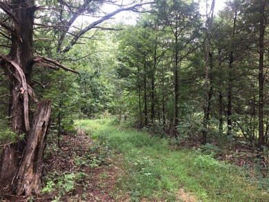 One of several cleared trails throughout the prope