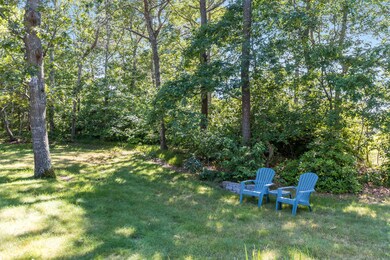 Rear Yard