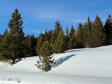 Forest trees on site