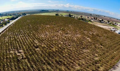 0 Sycamore St unit 225146116, Delhi, CA 95334 - photo 5