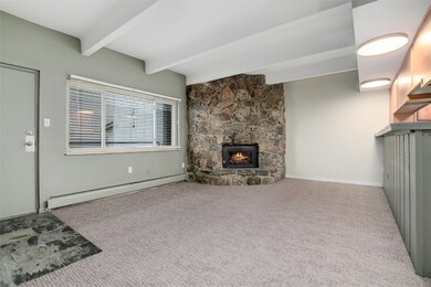 370 E La Bonte St unit A202, Dillon, CO 80435 - photo 7