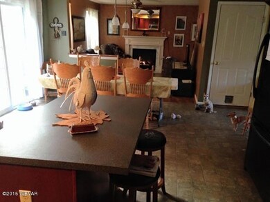 1344 Foust Hill Rd, Hughesville, PA 17737 - photo 6