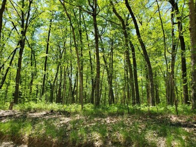 PAR 2 Grant, Bitely, MI 49309 - photo 2