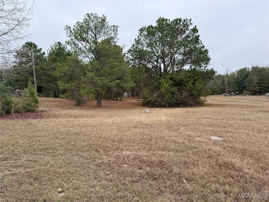 145 Lakewood Rd, Jones, AL 36749 - photo 2