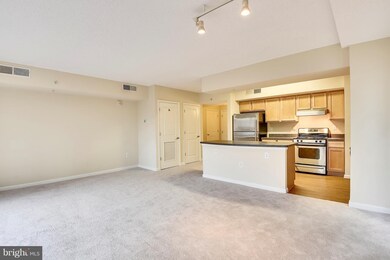 The Aurora Condominiums unit 316, Silver Spring, MD 20910 - photo 5