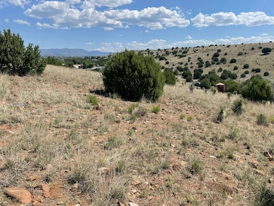 191 Kirkland Rd, Silver City, NM 88061 - photo 2