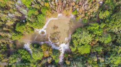 Lots of cleared land