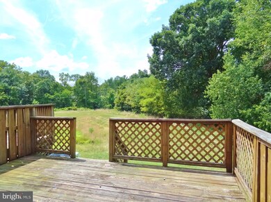 5904 Rowanberry Dr, Elkridge, MD 21075 - photo 5