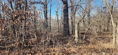 13780 S 4220 Rd, Claremore, OK 74017 - photo 6