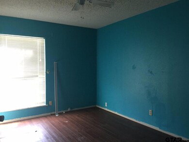 unlisted-address, Tyler, TX 75701 - photo 4