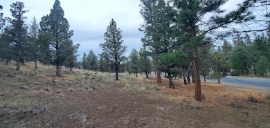 Unit 1 Lot 16 Lake Shore Dr unit 1, Weed, CA 96094 - photo 4