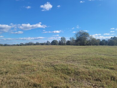 12403 Fm 1975 unit Parcel D, Gilmer, TX 75644 - photo 3