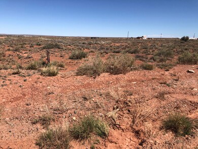 880 Marauder Rd, Winslow, AZ 86047 - photo 6