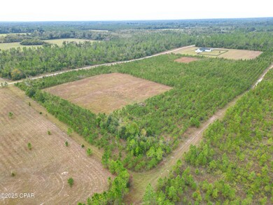 00 Glenmore Ct, Marianna, FL 32446 - photo 6